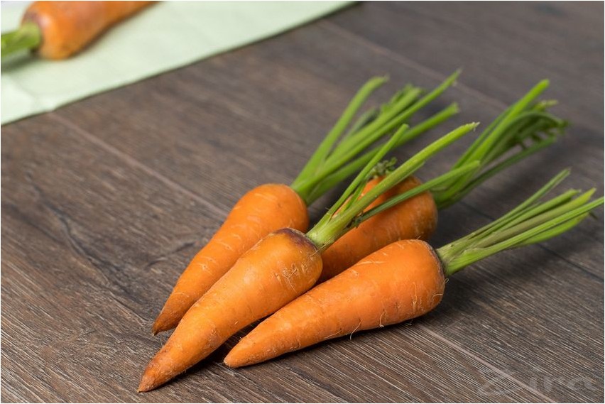 Морковь морковь
