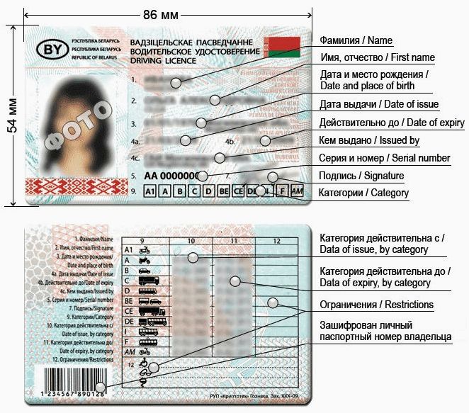Все о водительском удостоверении в Беларуси