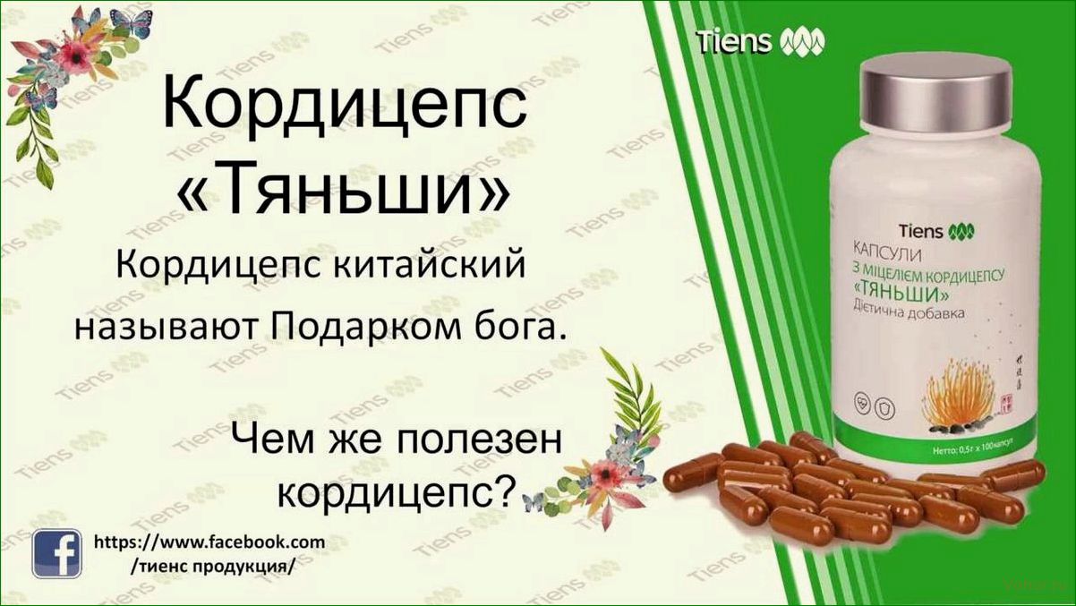 Кордицепс — инструкция по применению