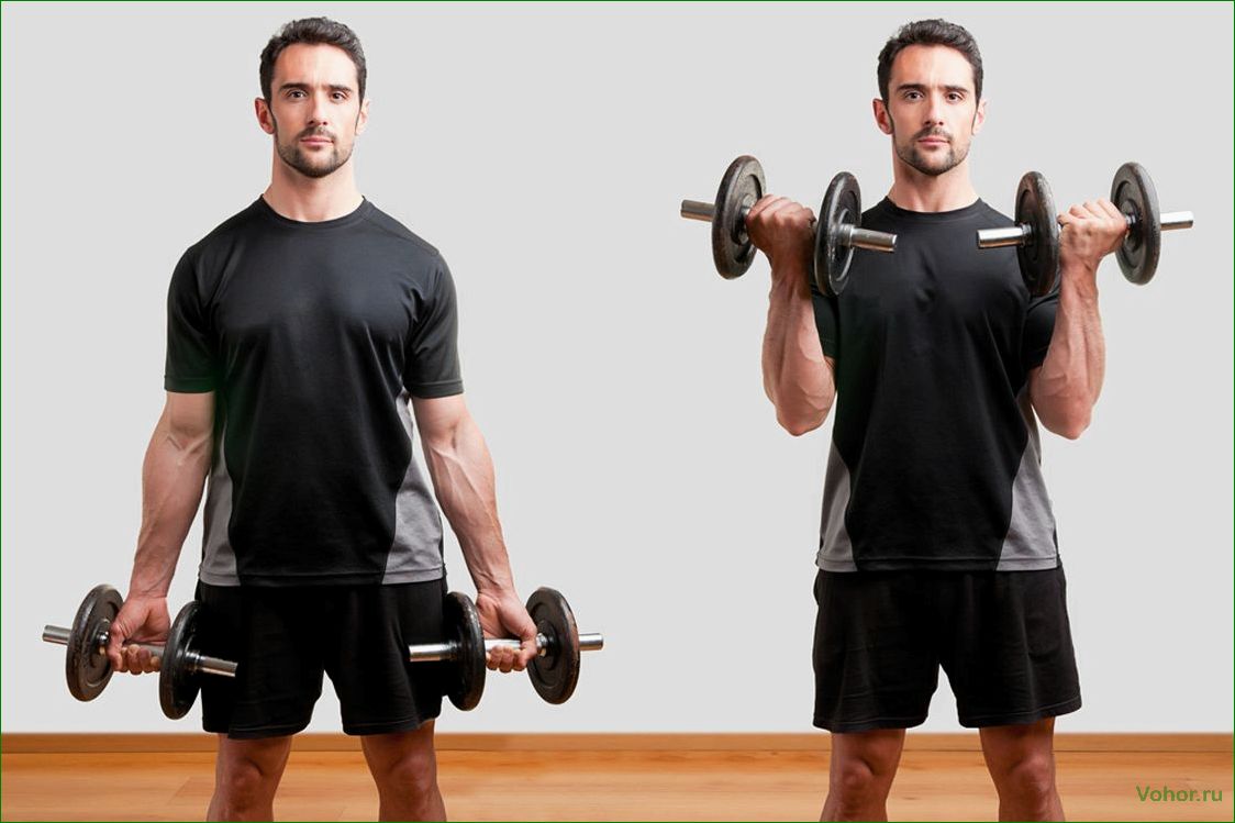 Гантели стоя на бицепс — лучшие упражнения и советы для тренировки мышц верхней части рук